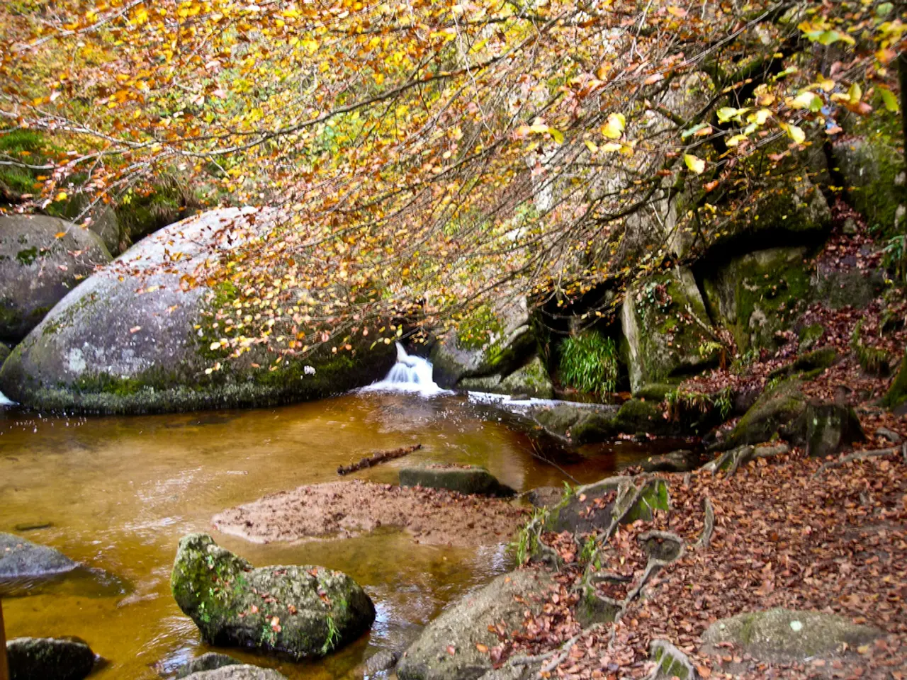 Minnesota's National Parks Rundown