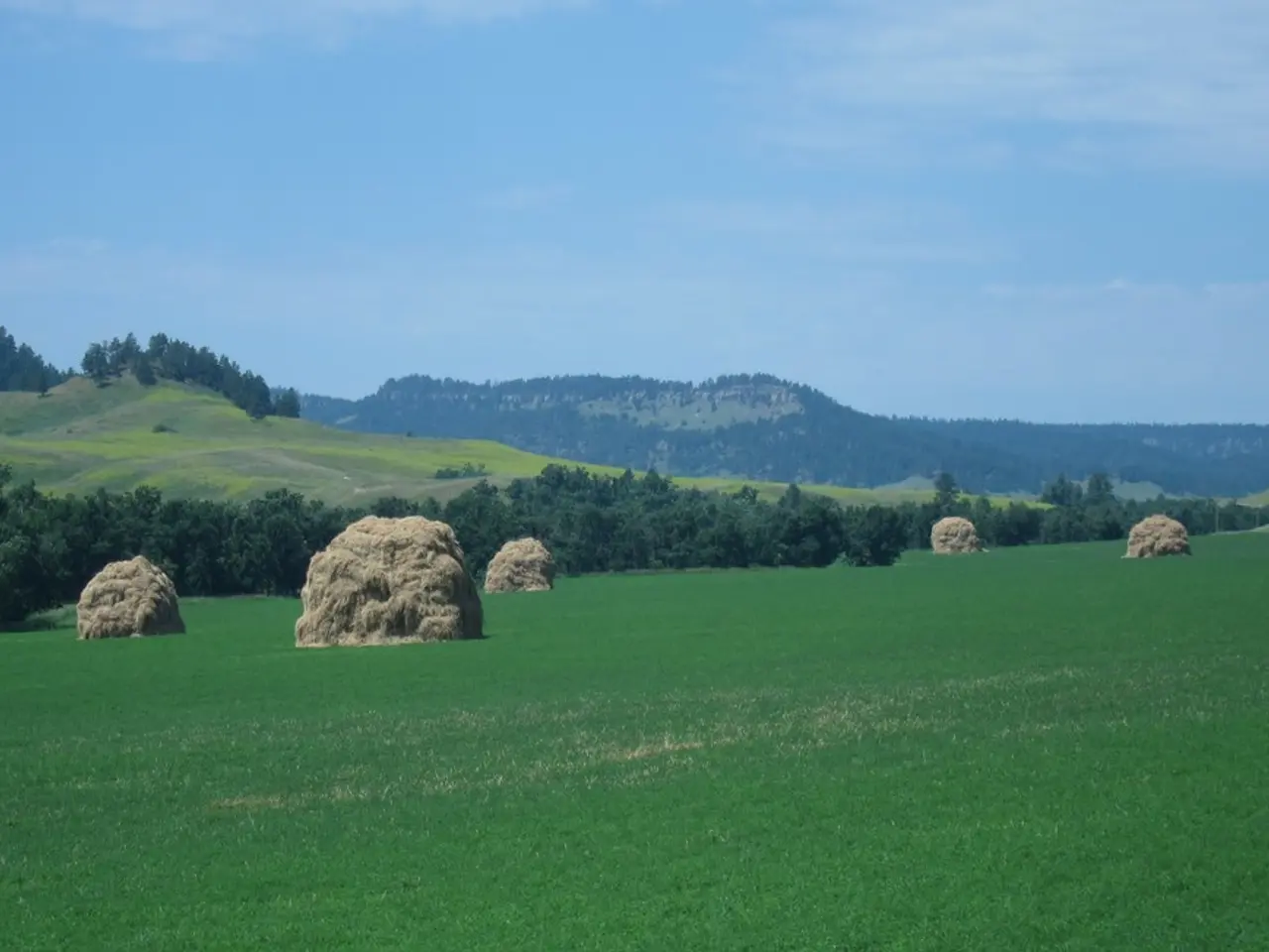 Upcoming Workshops Announcement for 2024-25 on Our Site