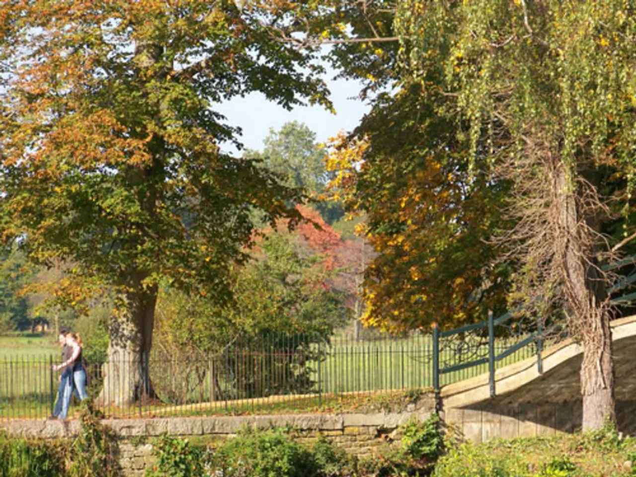 Explore the Enchantment of National Parks through Advanced Travel Technology