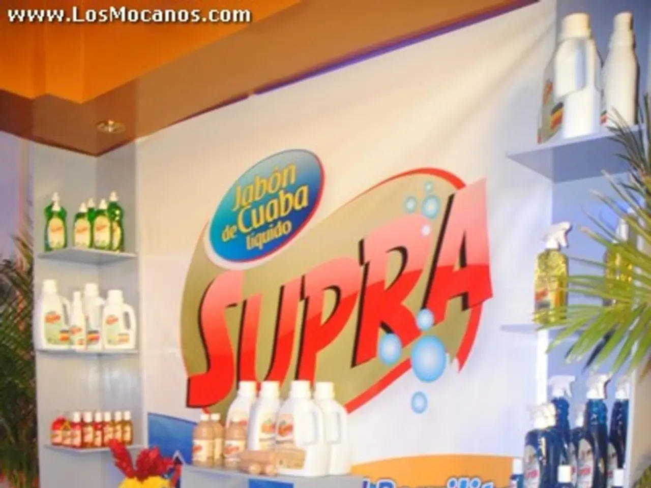 Top-tier Branding Solutions of the Year 2025