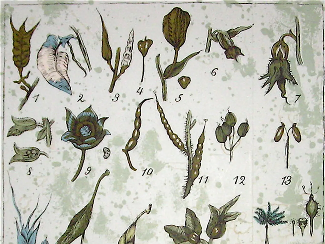 Merging plant and microbial genetics is crucial for the evolution of gene editing 2.0, according to...