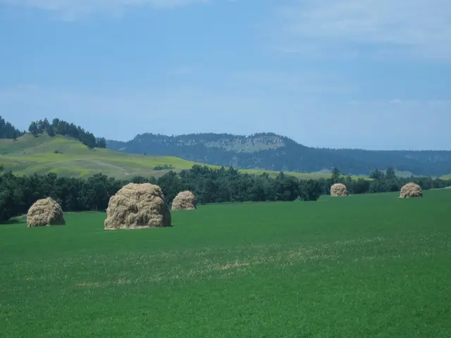 Upcoming Workshops Announcement for 2024-25 on Our Site