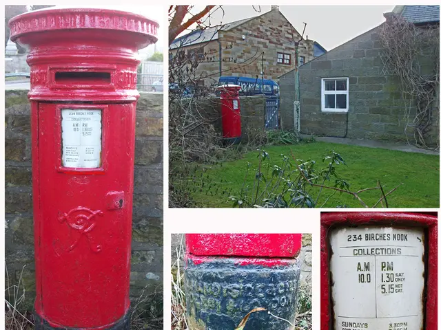 Simple and Straightforward Guide to Crafting Your Own Vivarium (Inclusive of Bioactive Setup)