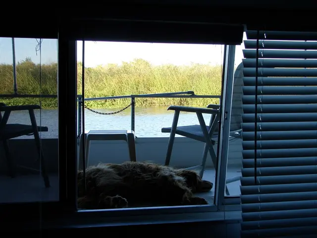 Allergy Wave of 2025: A Historic Peak in Pollen-Related Suffering & the Time-Saving Solution You...