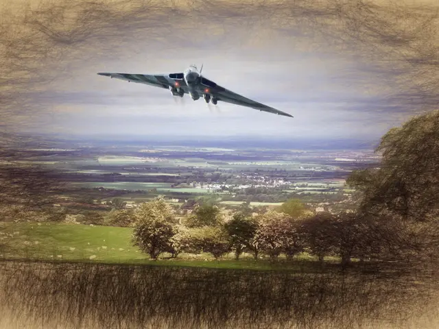 Skydiving company in New Jersey claims that the pilot attempted an emergency landing, yet the plane...