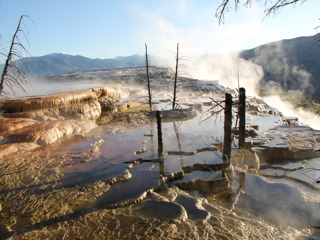 Tech-Free Retreats at National Parks: Ideal Destinations for a Weekend Devoid of Gadgets