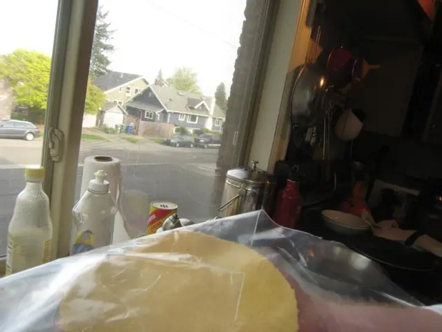 Explore Martin County: Activities in and Around Stuart, Florida