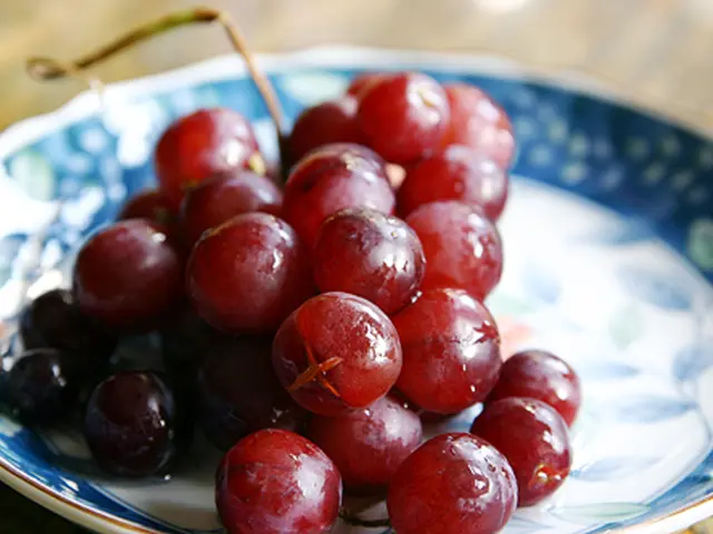 Fresh Cherry Picking Locations: Self-Pick Options Available Near You