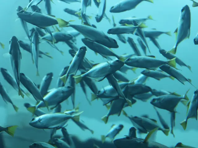 U.S. Freshwater Species Infected with Foreign Human-Causing Parasites