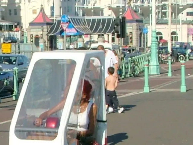 Tips for Traveling with Your Dog This Fall: Veterinarian Reveals Top 5 Advice - Second Point Sparks...