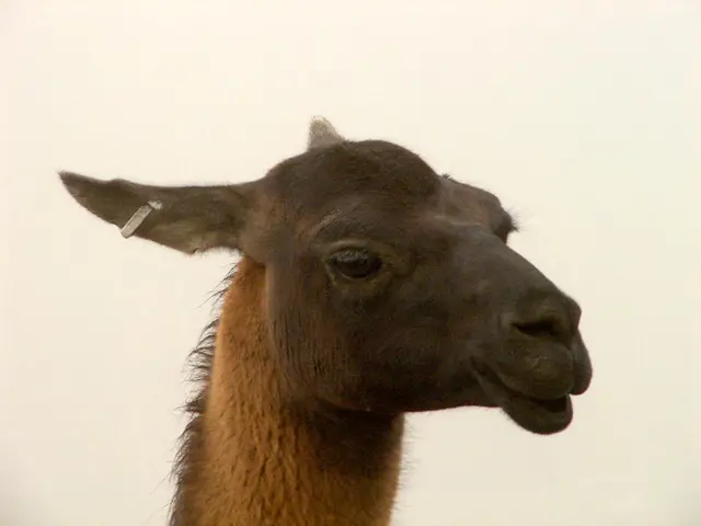 Mastoiditis: Signs, root causes, and identification methods