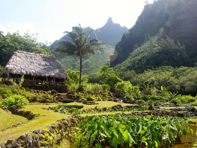 Abdominal pain in the upper right region, just beneath the ribs: 9 potential sources