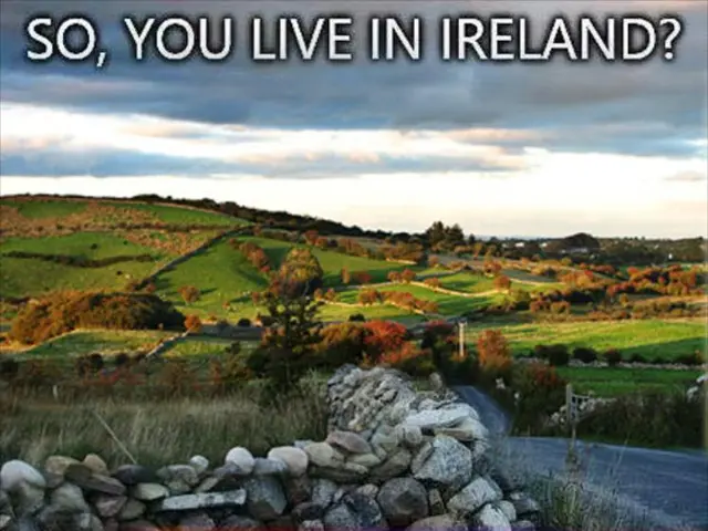 Strategies for Shielding Elderly Individuals from Air Pollution Hazards