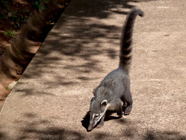 Cardiac Arrest: Signs, Remedies, and Origins