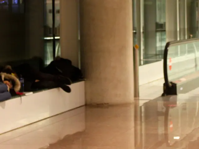 Year-round service available on Portugal to Los Angeles flight now