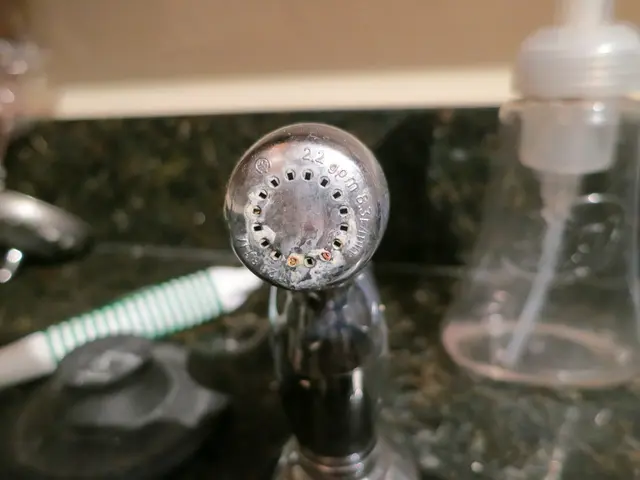 Proton Pump Inhibitors: Functions, Overview, Potential Side Effects, and Related Information