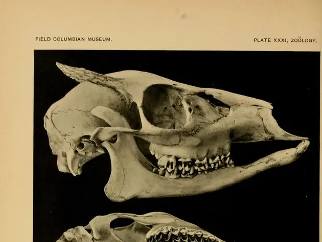 delving into the Enigmas of Brain Tumors: Special Insights from Dr. Rao