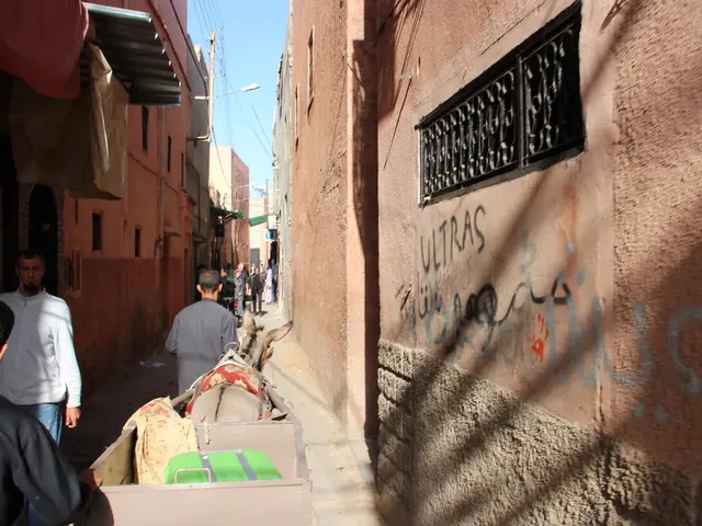 Conflict between Israel and Hamas: Statistical breakdown of the humanitarian predicament in Gaza