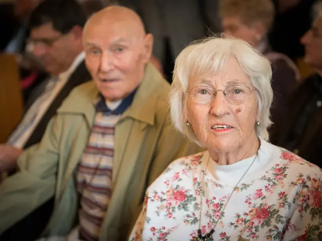 Exploring Senior Law Across States: A Detailed Handbook