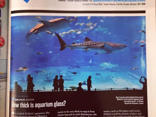 Fishermen in Pakistan face the consequences of the Iran-Israel conflict