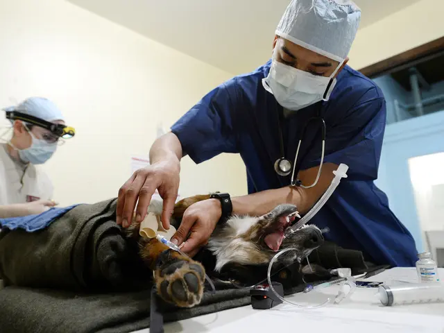 Moisture's Role in the Development of Pressure Ulcers