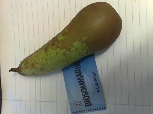 Urine and blood uric acid tests: Information on test types, required preparations, potential...