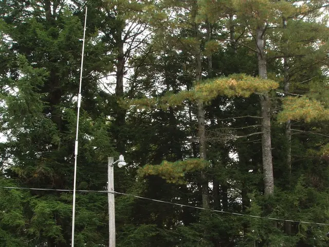 Strategies for maximizing your winter caravanning experience, outlined in this article for your...