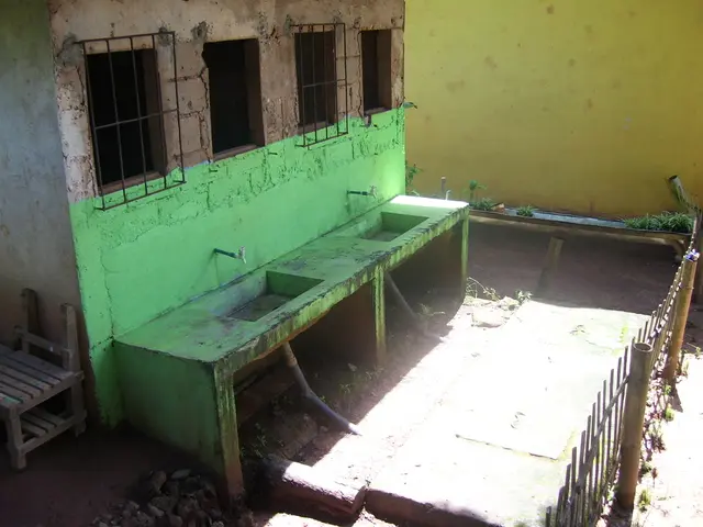 Appendicitis: Facts, origins, remedies, and additional insights