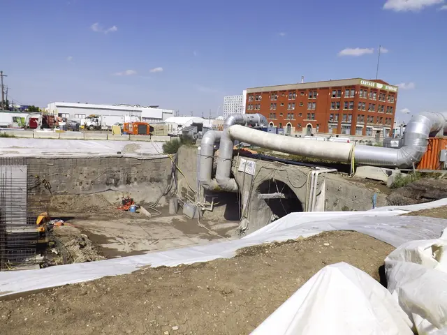 Advocating for Donald Trump's Perspective