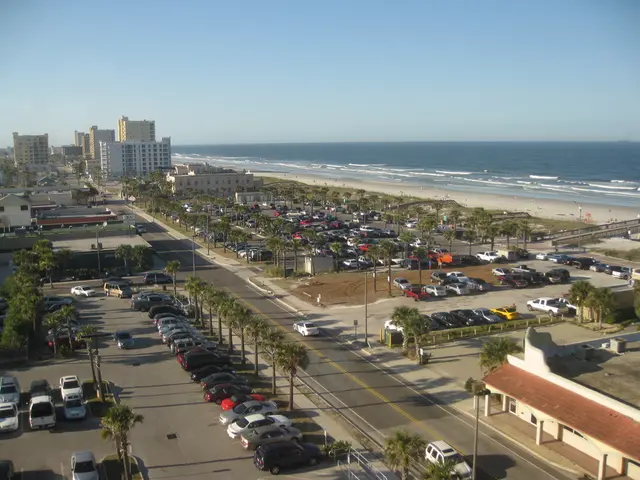 Establishing the Governing Body for the Decimal Liaison Unit Linking Humans and Seas