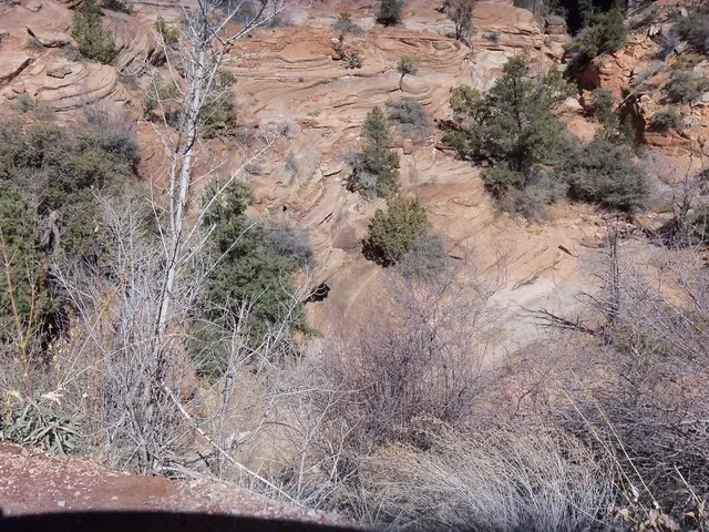 Unique Gems Discovered in Montana: Yogo Sapphires