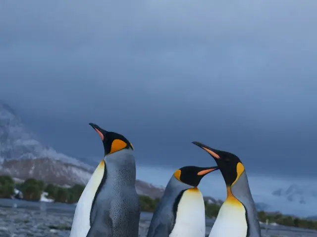 Vast Nature Reserve in Italy Offers Extensive Coastlines, Hiking Opportunities, and Bicycle Paths