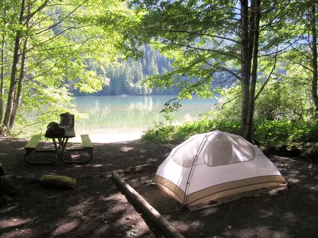 Secluded Campsite Nestled Amidst New York's Catskill Mountains, Offers Serene Retreat by...