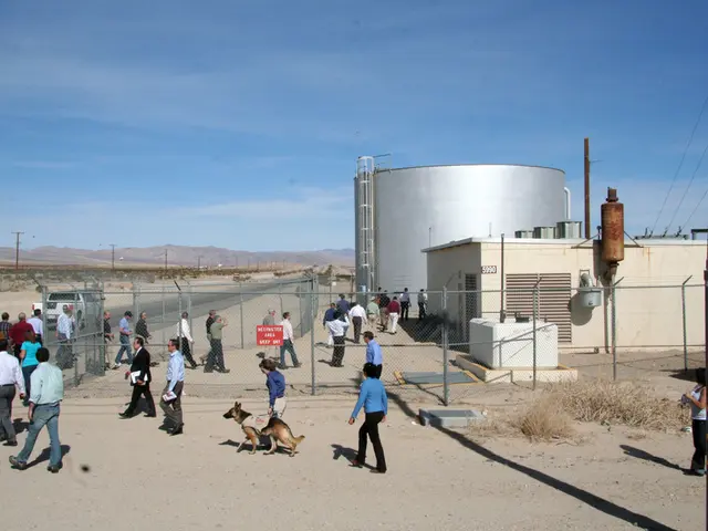 Experiencing Travel in the United States Currently, as Described by Local Residents and Tourists