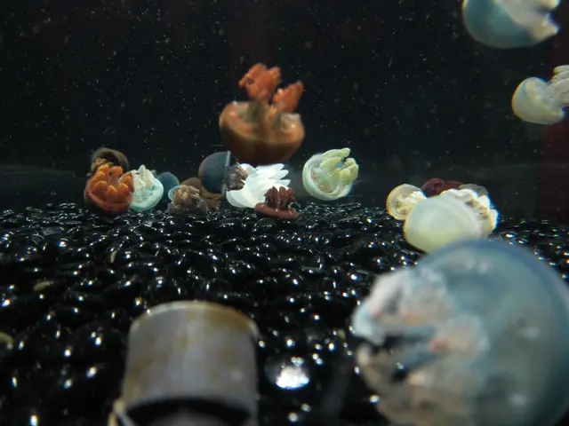 Bacterial Contaminants Pose Multiple Threats