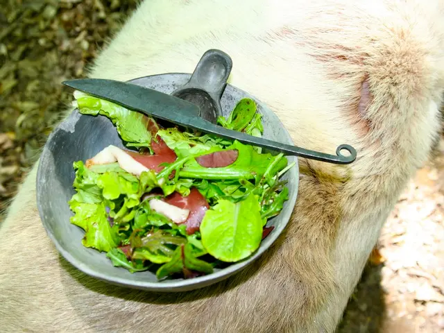 Intestinal Affliction's Painful Site: Signs, Causes, Personal Account