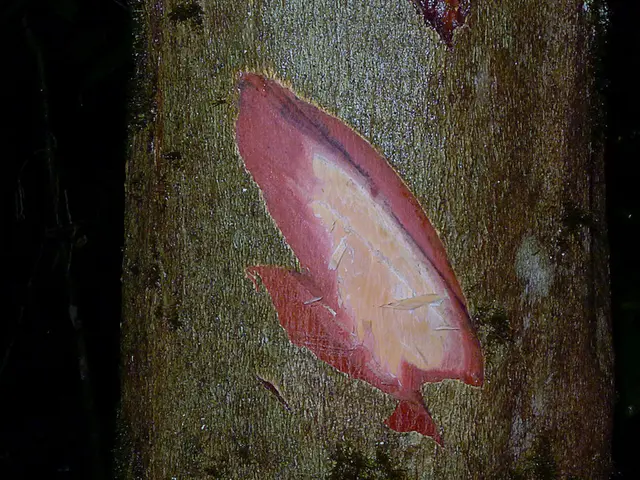 Federal investigation into grant approval processes ensuring adherence to Trump Administration...