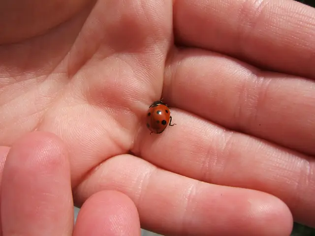 Unraveling the Remarkable Deception: A Closer Look at the Widespread Illness Myth