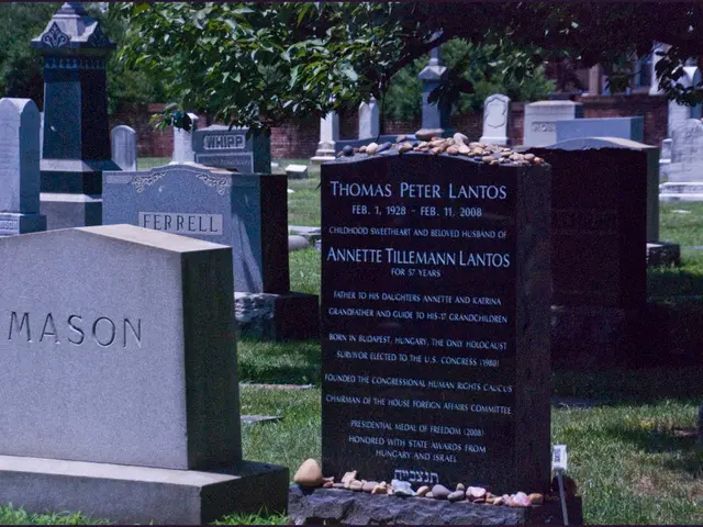 Hyperthyroidism Variations: Root Causes, Detecting Methods, and Therapeutic Approaches