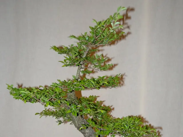 Managing Side Effects of Motegrity: A Comprehensive Guide