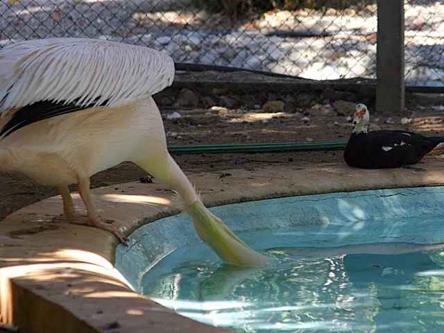 Firefighters and residents of Pennsylvania advocate for a law that prohibits the use of harmful...