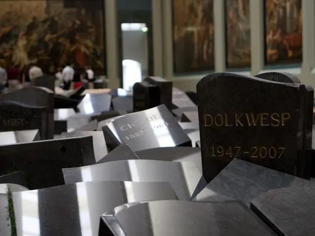 Interventional Radiologist SAMEER Presents Novel Technique for Splenic Artery Pseudoaneurysm...