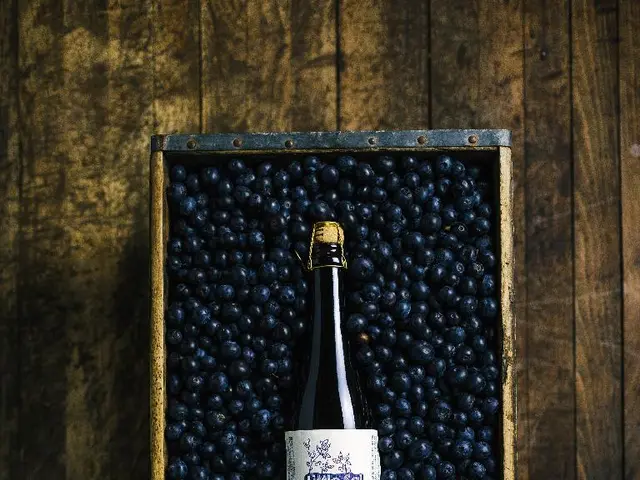 Transmittable Infections and Parasites via Unclean Berries: A List to Note