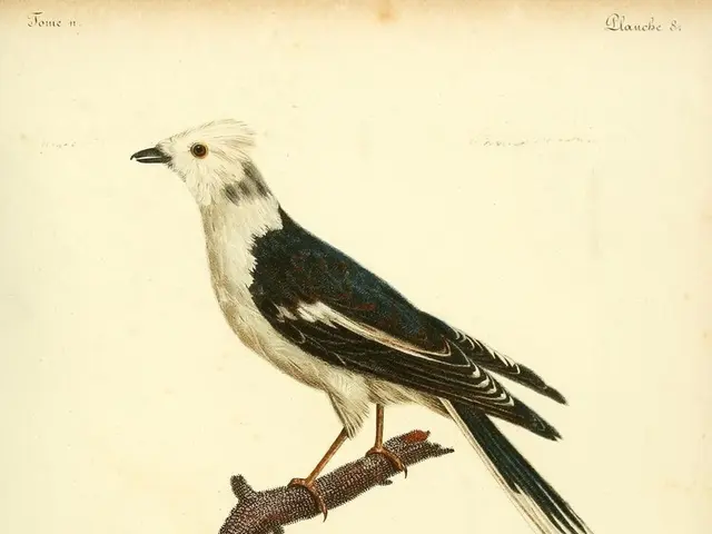 Guidance from the Ethereal Intelligence of Nirvan