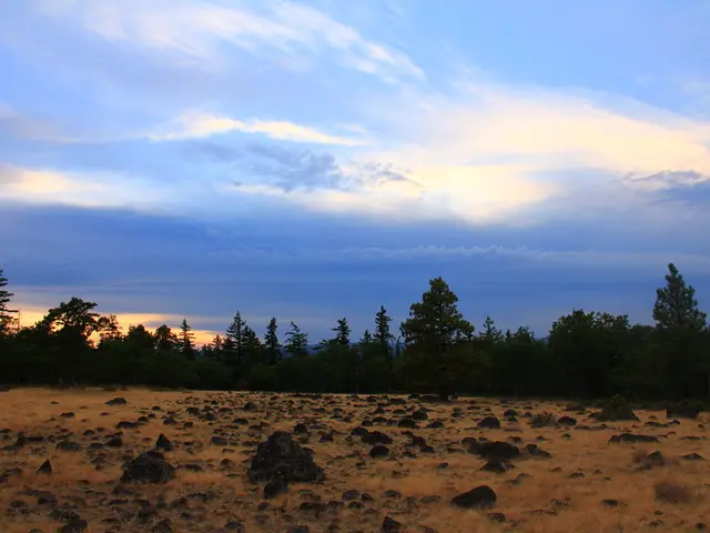 Earth's 'Blue Zones': 5 Regions With the Healthiest Inhabitants