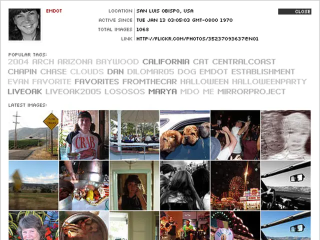 Guide on Designing Inclusive Infographics Using Our Tool