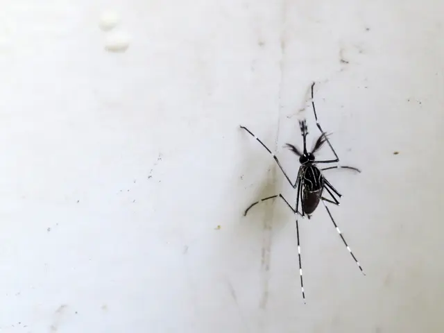 Report of 11 fatalities due to dengue in the southern region