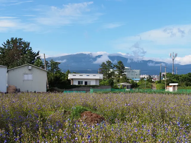 Sky-high electricity costs and frequent power disruptions underscore the necessity of rooftop solar...
