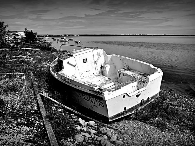 Singapore's Resorts World Sentosa showcases the Singapore Oceanarium prior to its grand launch on...