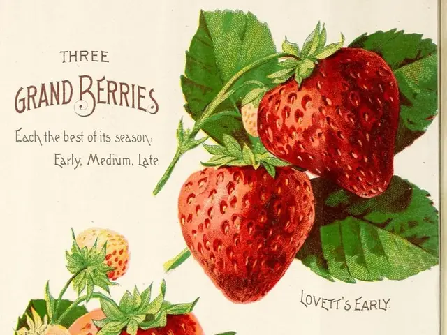 Exploration Unveiled: Research Dives into Allergic Immune Resilience Among Old Order Mennonite...